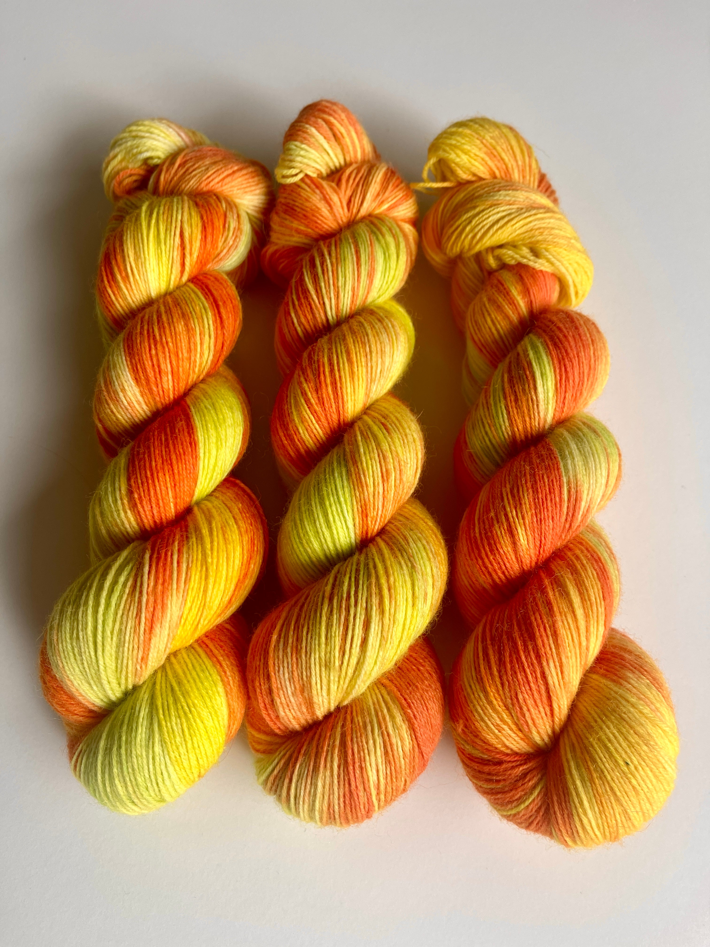 Tulip Fields: Texas Flame