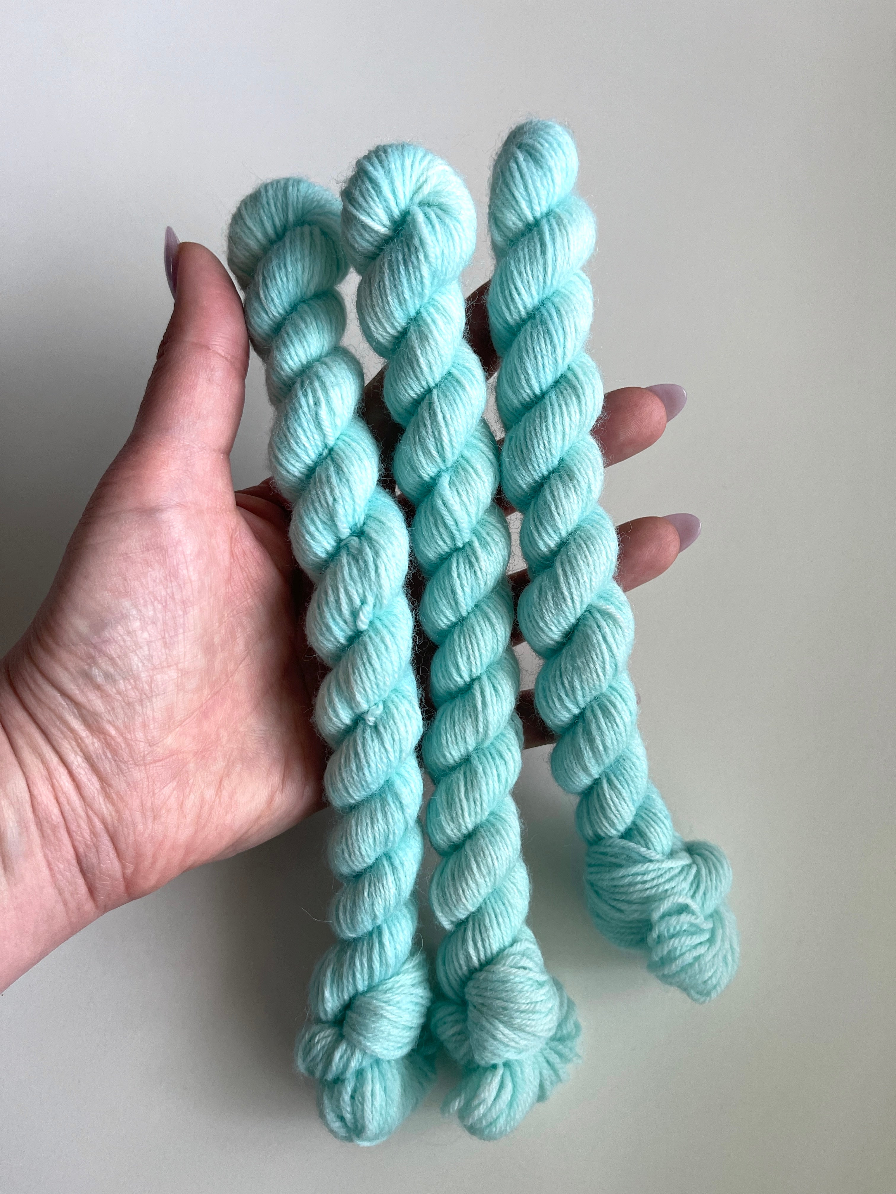 Tulip Fields: Tiffany Blue mini