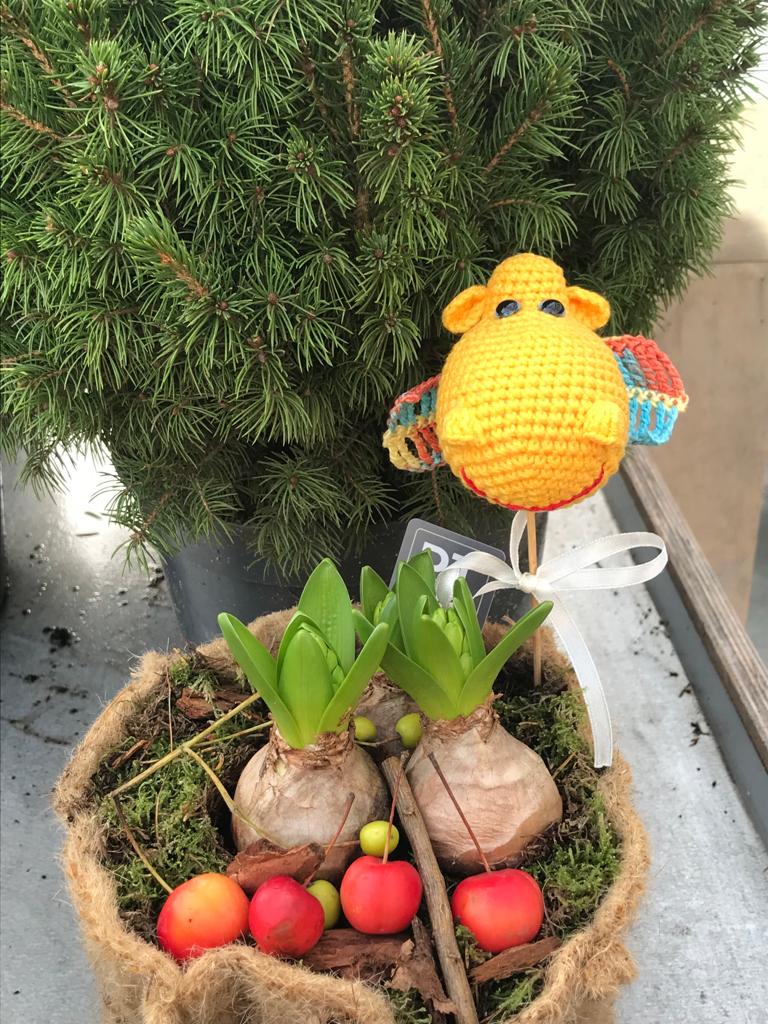 Preparing for Christmas!
