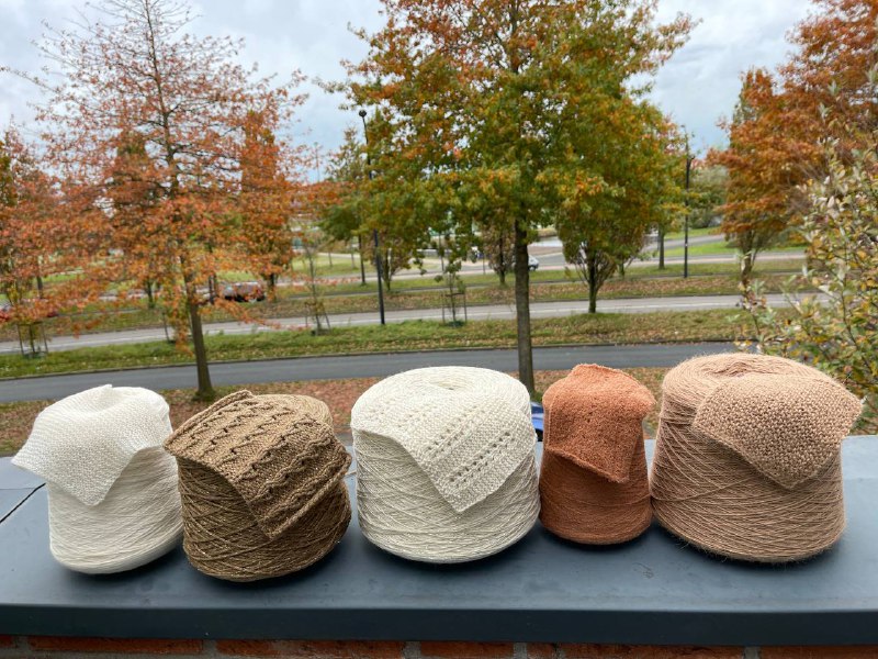 Cone yarns - new page in Amazingwool.com