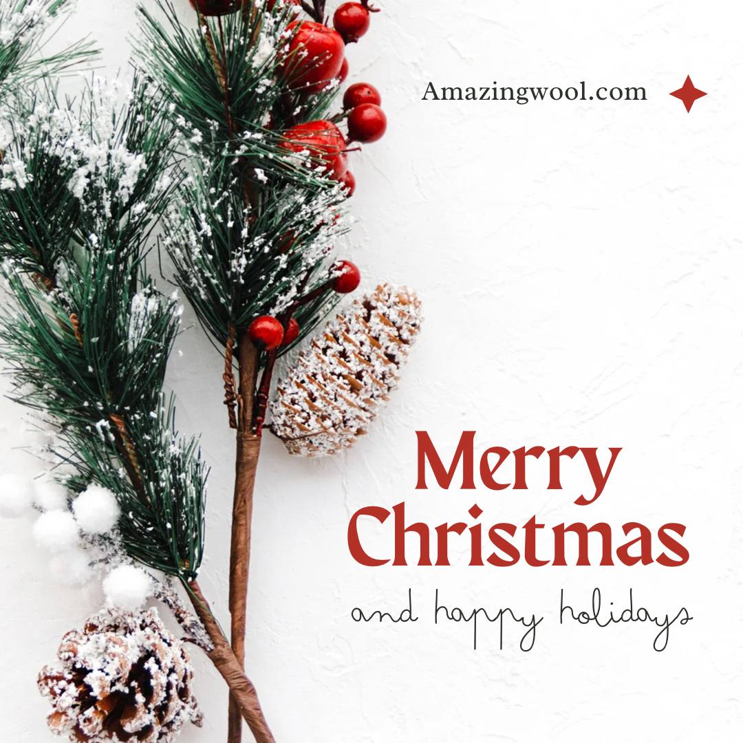 Merry Christmas Yarn Lovers!