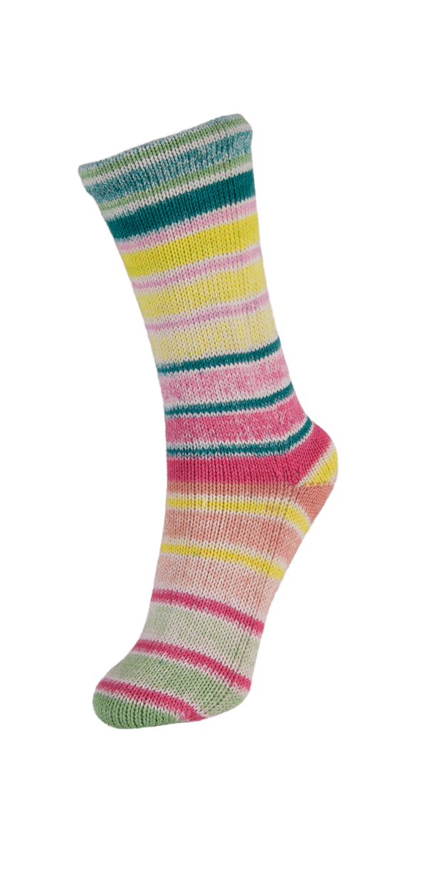Summer Socks 11