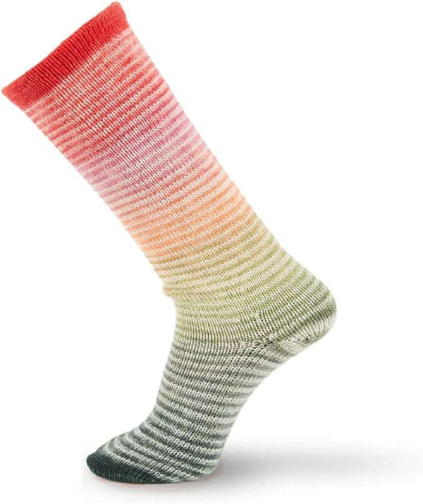 Concept Symmetric Rainbow Socks & More 52