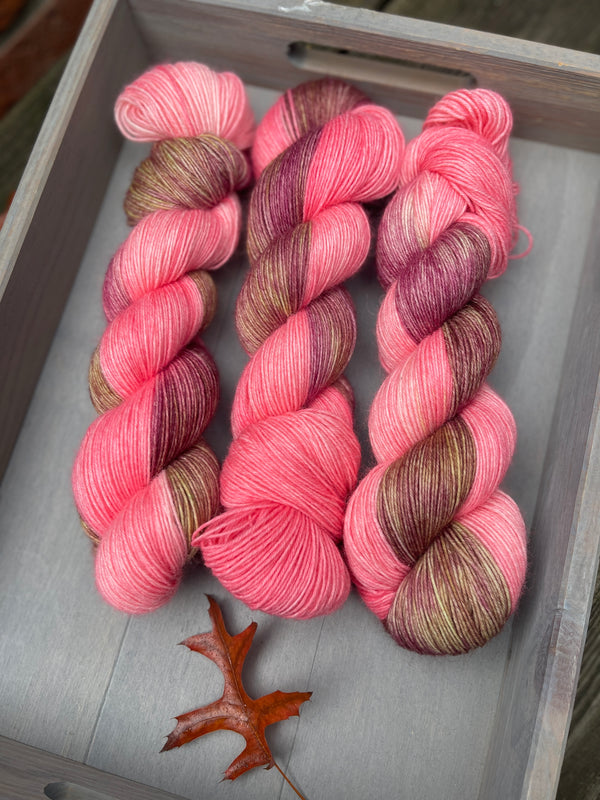 Whispers of the Wild: Wild Rosewood