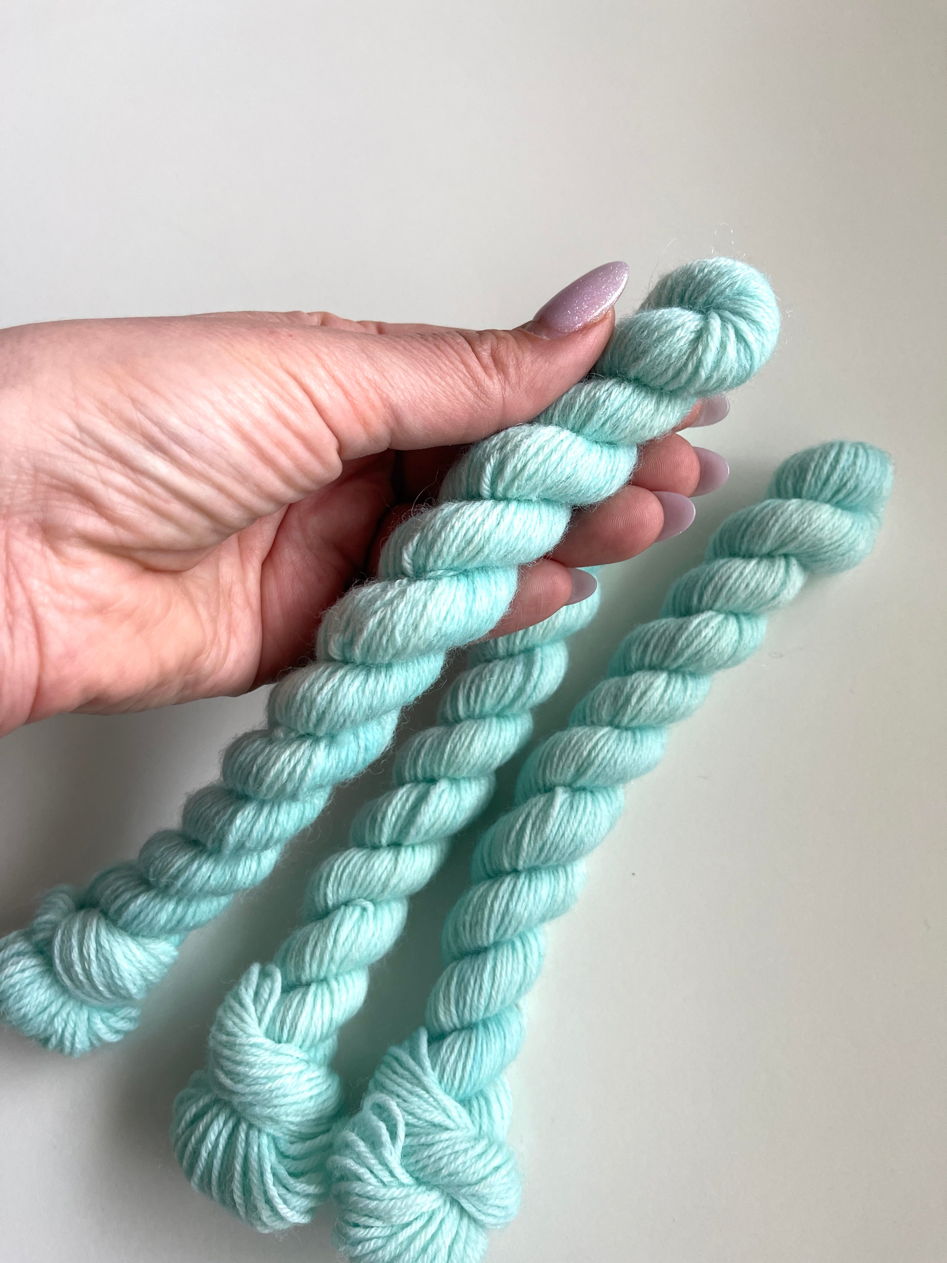 Tulip Fields: Tiffany Blue mini
