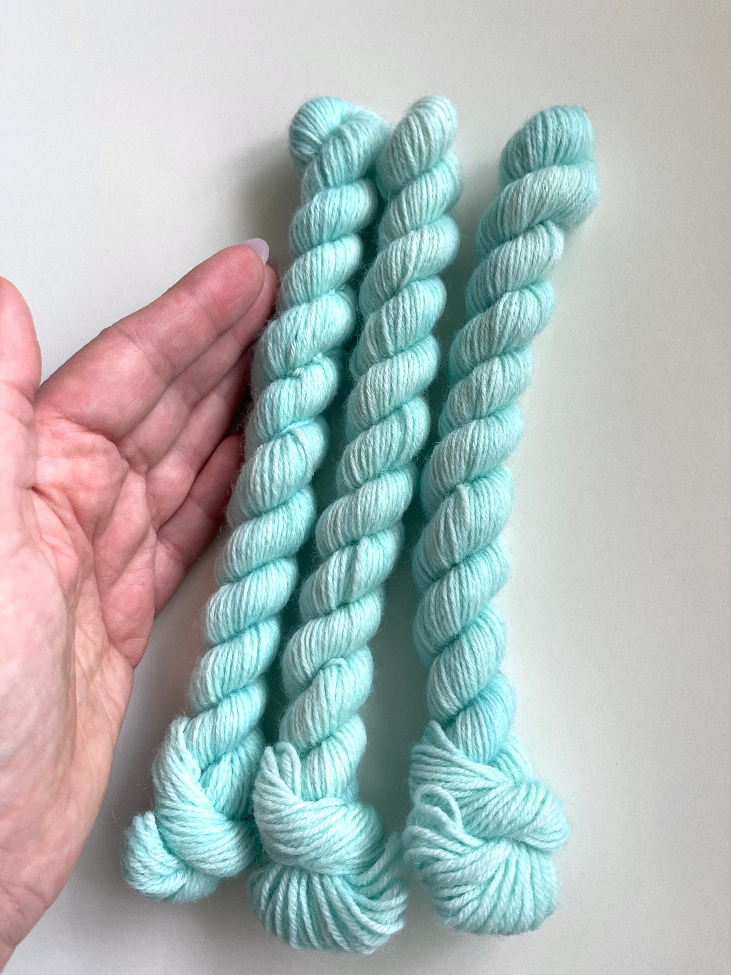 Tulip Fields: Tiffany Blue mini